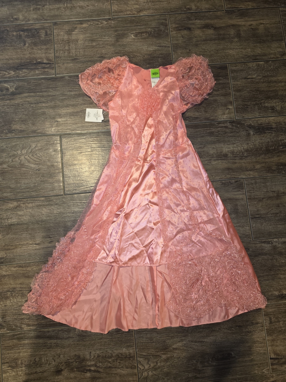 Wicked Grils Costume